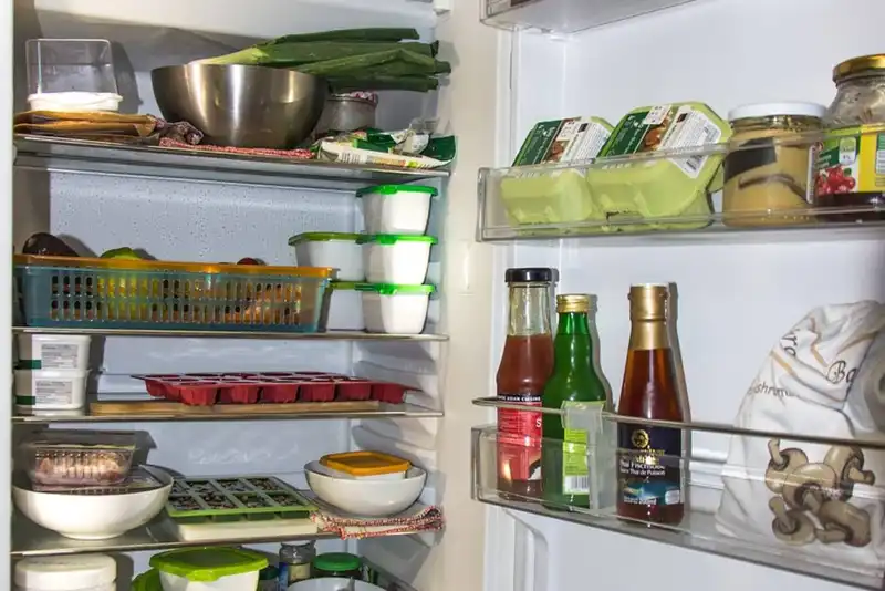 the importance of refrigerator temperature management 1600390238 3389